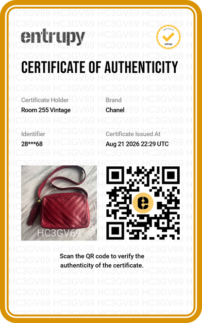 Chanel Burgundy Camera Bag Series 2
