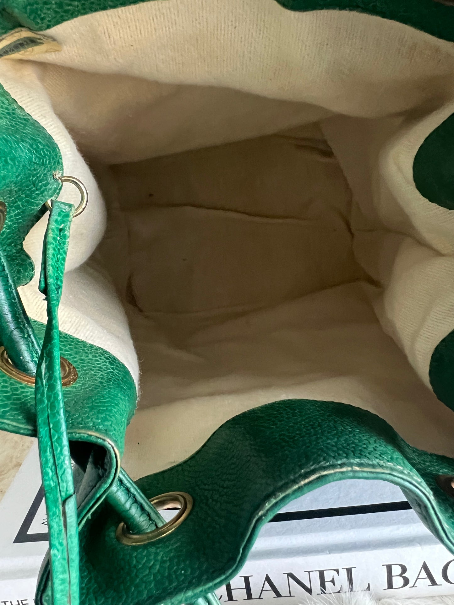 Chanel Green Caviar Backpack Series 1